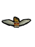 British Army Glider Pilot Wing