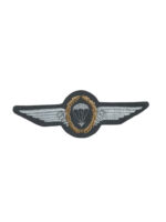 West German Airborne Gold Wreath Jump Wing