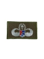 Republic of China Special Forces Terrain Airborne Jump Wing