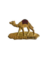 US Shriners Yeuduz Temple South Dakota Cap Badge US Shriners Yeuduz Temple South Dakota Cap Badge