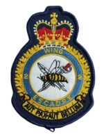 Canadian Forces RCAF 2 Wing Heraldic Colour Crest Patch Vintage