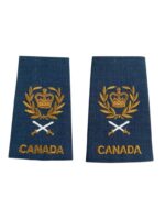 Canadian Forces RCAF Base Master Warrant Officer Slip-Ons Insignia Pair
