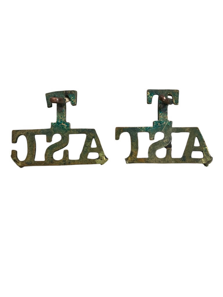 WW1 British BEF Territorial Army Service Corps Shoulder Titles Insignia Pair WW1 British BEF Territorial Army Service Corps Shoulder Titles Insignia Pair