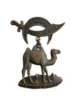 US Shriners El Zaribah Temple Phoenix Arizona St. Paul 1908 Medal