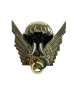 Ivory Coast Airborne Parachute Jump Instructor Gold Jump Wing