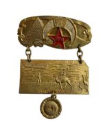 US Shriners Salina Kansas To Rochester 1911 Medal US Shriners Salina Kansas To Rochester 1911 Medal