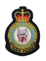 Canadian Forces RCAF 437 Squadron Heraldic Colour Crest Patch Vintage