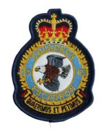 Canadian Forces RCAF 423 Squadron Heraldic Colour Crest Patch Vintage