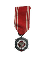 Poland Polish 10 Year Fire Service Full Size Medal