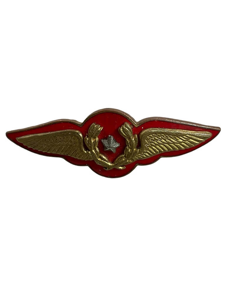 Chilean Air Force Pilots Wing Chilean Air Force Pilots Wing