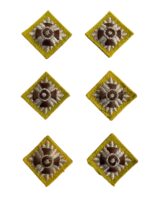 Canadian Army Captain’s Rank Yellow Pips Armoured Corps Set of 6 Canadian Army Captain’s Rank Yellow Pips Armoured Corps Set of 6