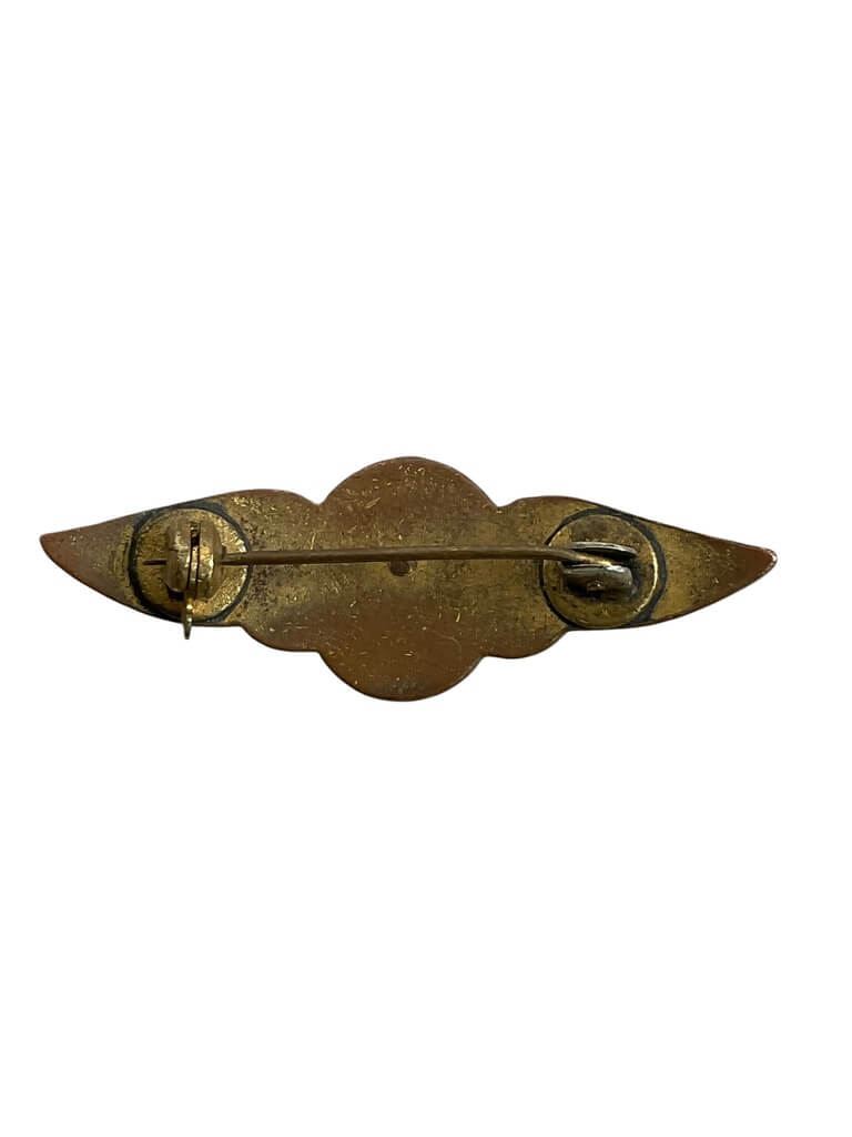 Chilean Air Force Pilots Wing Chilean Air Force Pilots Wing