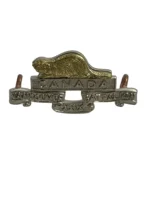 WW2 Canadian Army Vancouver Regiment Irish Fusiliers Collar Insignia Single WW2 Canadian Army Vancouver Regiment Irish Fusiliers Collar Insignia Single