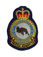 Canadian Forces RCAF 419 Squadron Heraldic Colour Patch Vintage