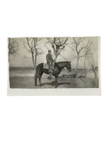 WW1 Canadian CEF Cavalry Horse Photograph 2 1/2" X 4" WW1 Canadian CEF Cavalry Horse Photograph 2 1/2" X 4"