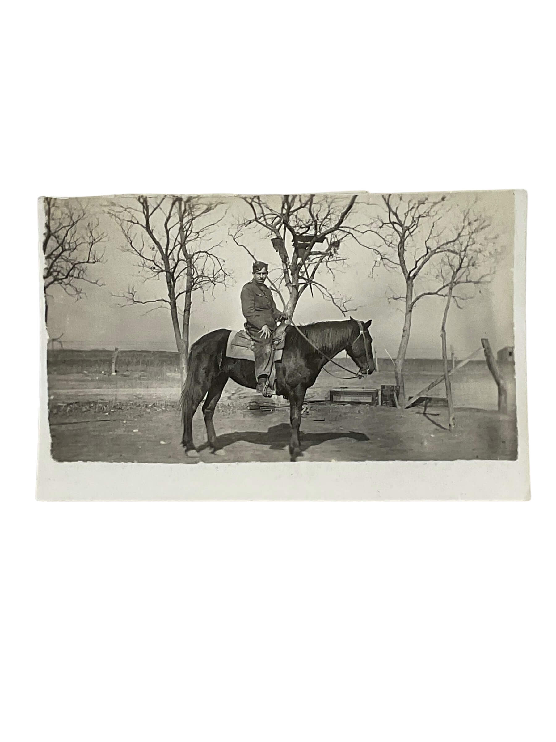 WW1 Canadian CEF Cavalry Horse Photograph 2 1/2" X 4" WW1 Canadian CEF Cavalry Horse Photograph 2 1/2" X 4"