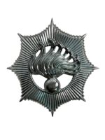 Dutch Netherlands State Police Cap Badge