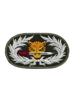 Thailand Thai Ranger Qualification Patch Thailand Thai Ranger Qualification Patch