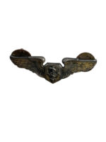 US USAF Vietnam Flight Nurse Wings 2"
