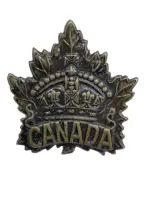WW1 Canadian CEF General List Cap Badge (1)
