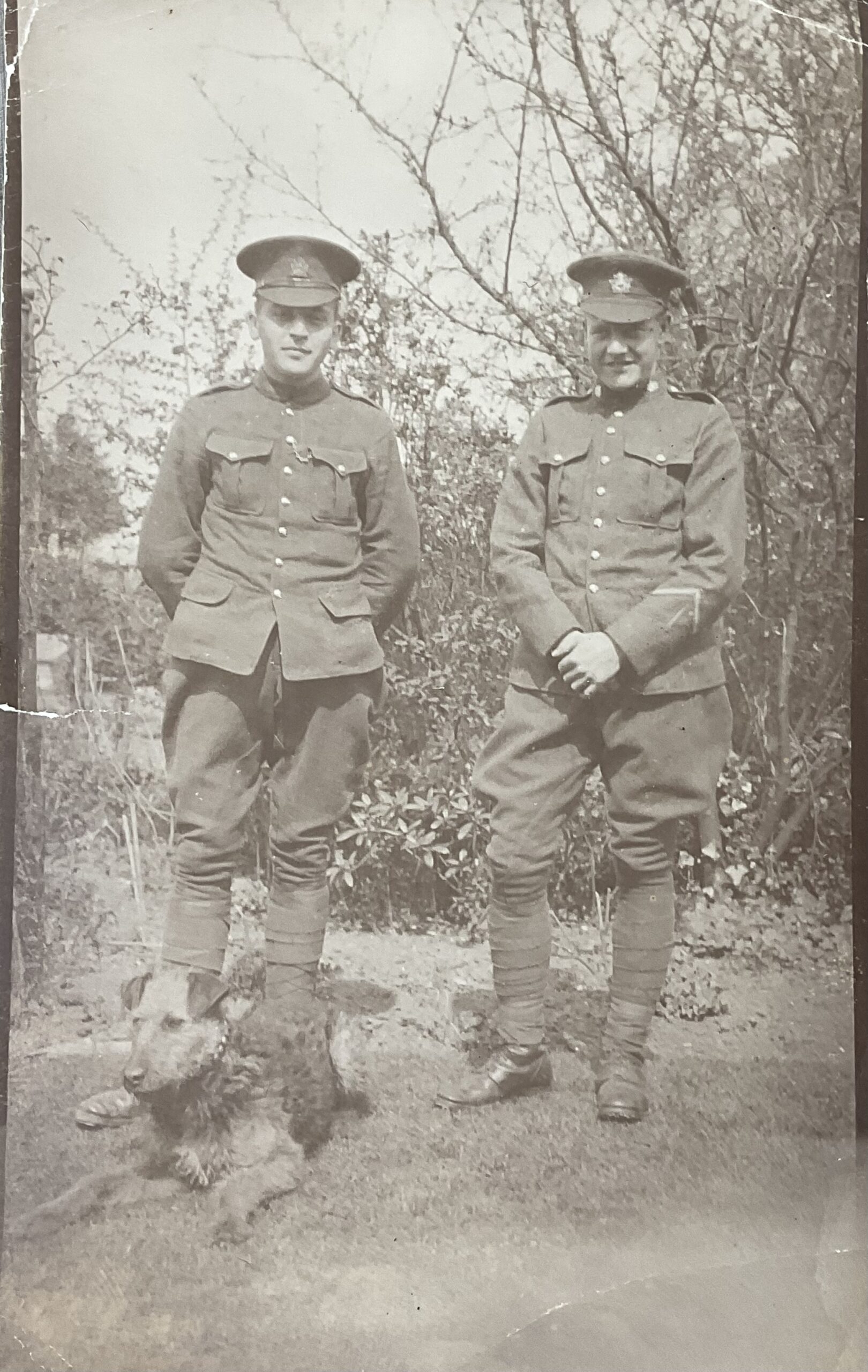 WW1 Canadian CEF Photograph Showing 7 Button Tunics WW1 Canadian CEF Photograph Showing 7 Button Tunics
