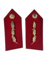 Turkish Army General's Officers Collar Tabs 2