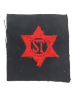 WW2 Canadian RCN Navy Stenographer Trade Patch