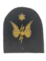 WW2 Canadian RCN Navy Radio Operator Trade Patch WW2 Canadian RCN Navy Radio Operator Trade Patch