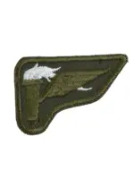 Canadian Forces Airborne Pathfinder White Torch Wing Insignia