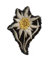 WW2 German SS Mountain Troops Edelweiss Cap Hat Badge