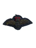 Canadian RCAF Mess Dress Bullion Wire Pilots Wing Canadian RCAF Mess Dress Bullion Wire Pilots Wing