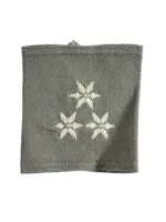 Austrian Armed Forces Master Corporal Slip-On Insignia Single