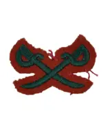 British Women's Royal Army Corps PT Instructor Trade Patch