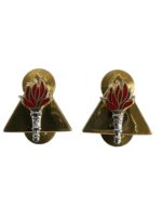 Canadian Forces Training and Development Branch Collars Insignia Pair