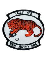 US USAF 141st TFS New Jersey ANG Squadron Patch