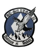 German Air Force Air Transport Wing 61 Squadron Patch