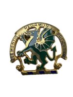 US Army DUI Distinctive Uniform Insignia Chemical School Badge Pin