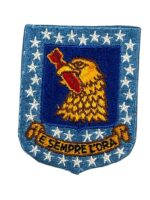 US USAF 96th Bomb Squadron Patch