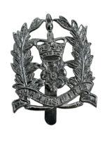 British Hampshire Police Cap Badge