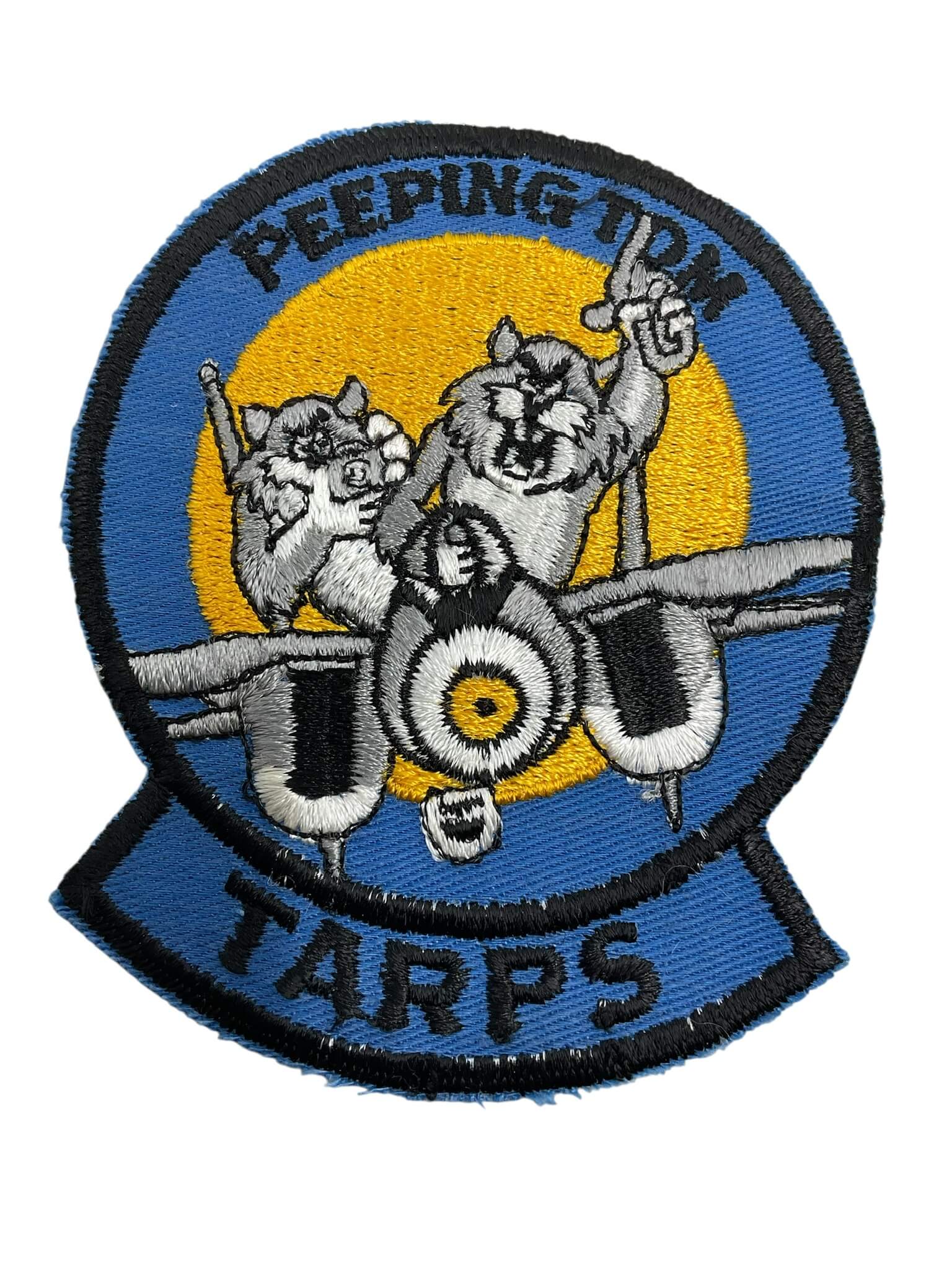 US USN Navy F-14 Tomcat Peeping Tom TARPS Squadron Patch US USN Navy F-14 Tomcat Peeping Tom TARPS Squadron Patch