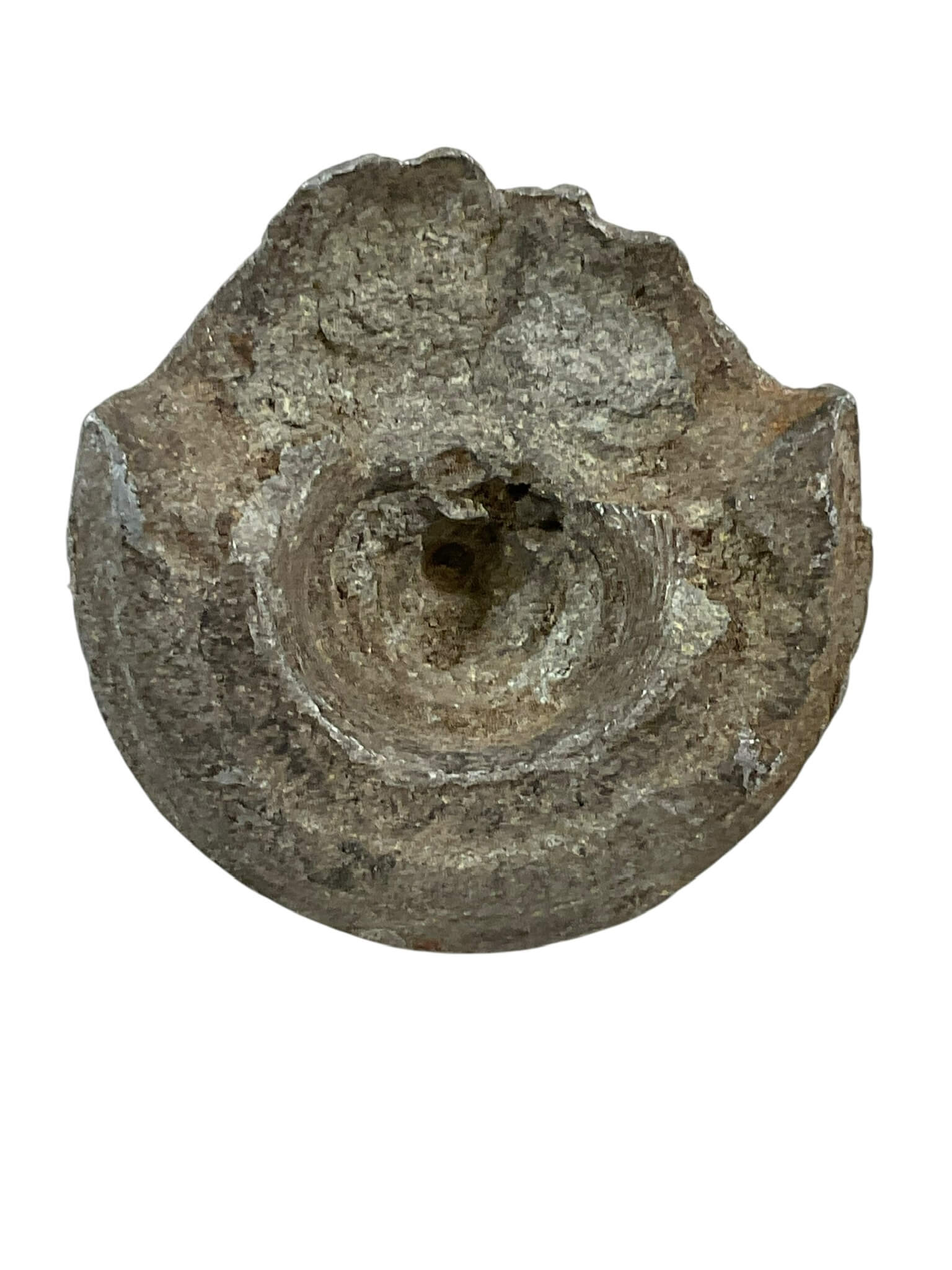 WW1 Imperial German 10.5cm Howitzer Shell Tip INERT WW1 Imperial German 10.5cm Howitzer Shell Tip INERT