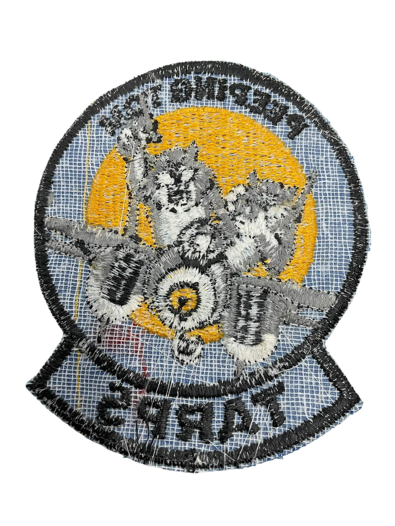 US USN Navy F-14 Tomcat Peeping Tom TARPS Squadron Patch US USN Navy F-14 Tomcat Peeping Tom TARPS Squadron Patch