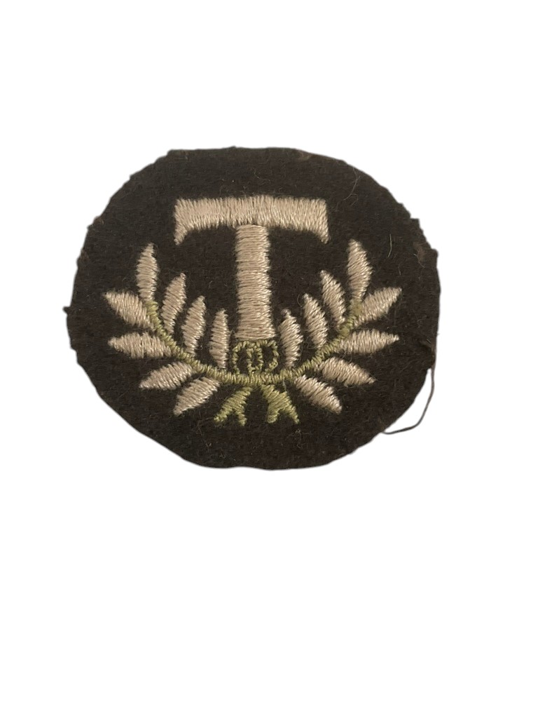 WW2 Canadian Women's Army Corps CWAC Technical Trade Qualification Badge WW2 Canadian Women's Army Corps CWAC Technical Trade Qualification Badge