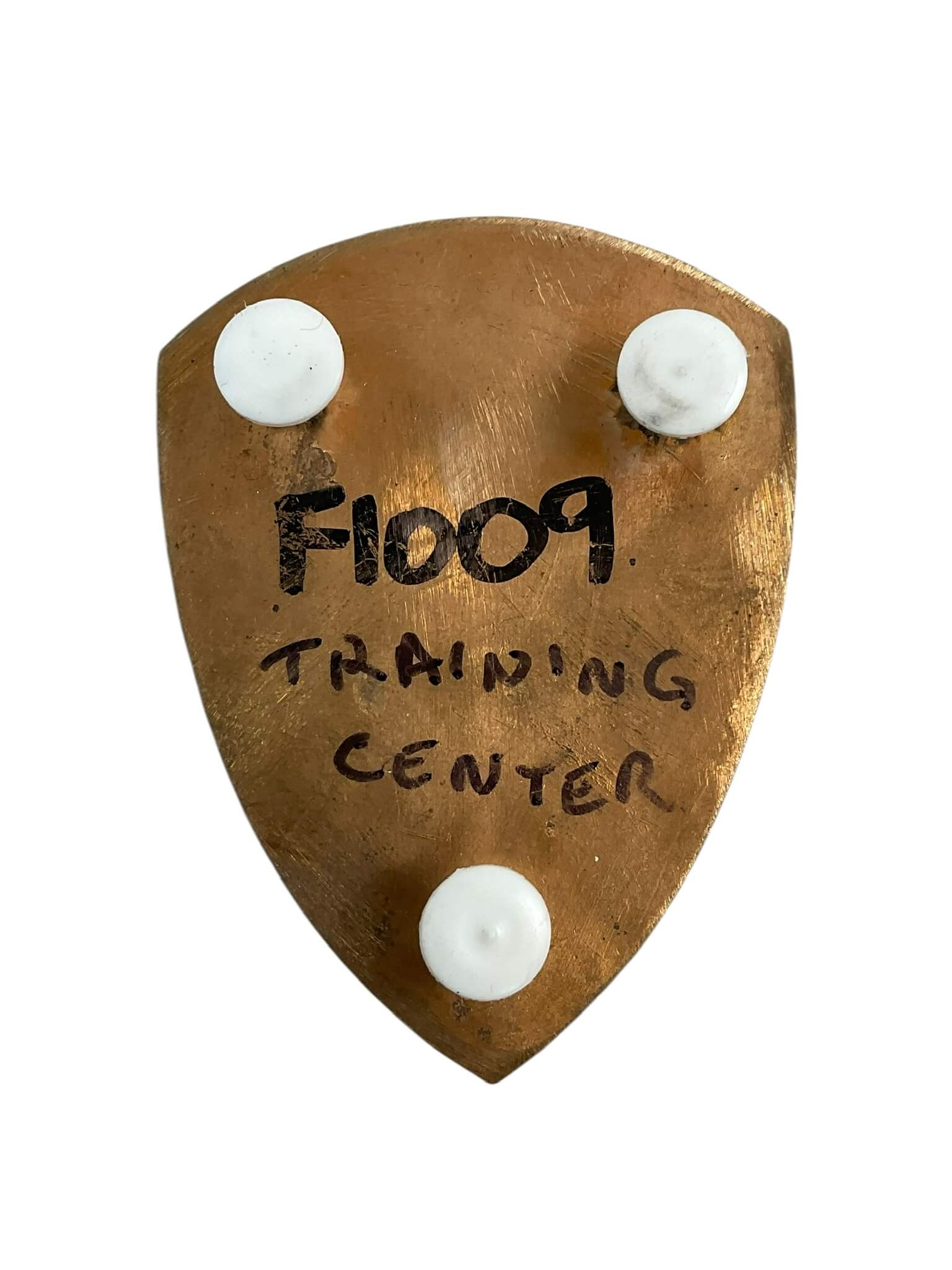 South African Emergency Services Training Centre Shoulder Flash Badge South African Emergency Services Training Centre Shoulder Flash Badge