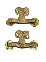 Canadian Forces Rocky Mountain Rangers Collars Insignia Pair