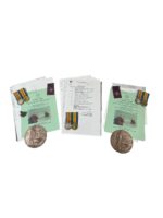 WW1 Canadian CEF 3 Brothers Grouping 2 KIA 38th Battalion