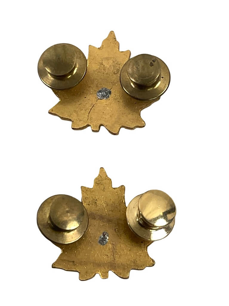 Canadian Forces CIC Air Cadets Officers Collars Insignia Pair Canadian Forces CIC Air Cadets Officers Collars Insignia Pair