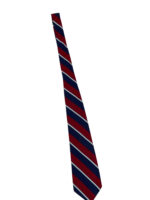 British RAF Regiment Neck Tie