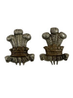WW2 British Prince of Wales's Leinster Regiment Collars Insignia Pair WW2 British Prince of Wales's Leinster Regiment Collars Insignia Pair