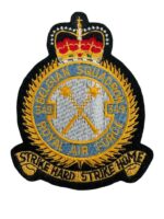 British RAF Belgian 349 Squadron Heraldic Colour Crest Patch Vintage